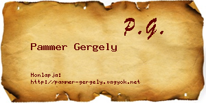 Pammer Gergely névjegykártya